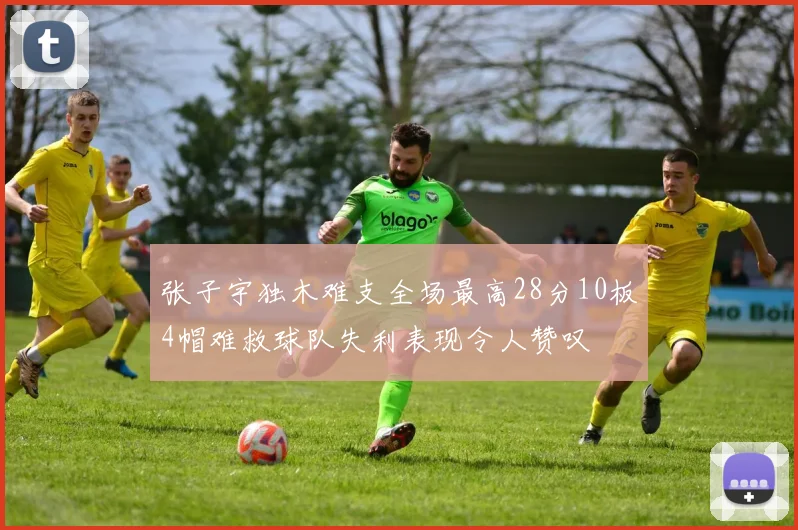 张子宇独木难支全场最高28分10板4帽难救球队失利表现令人赞叹