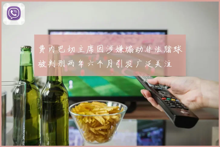 费内巴切主席因涉嫌煽动非法赌球被判刑两年六个月引发广泛关注