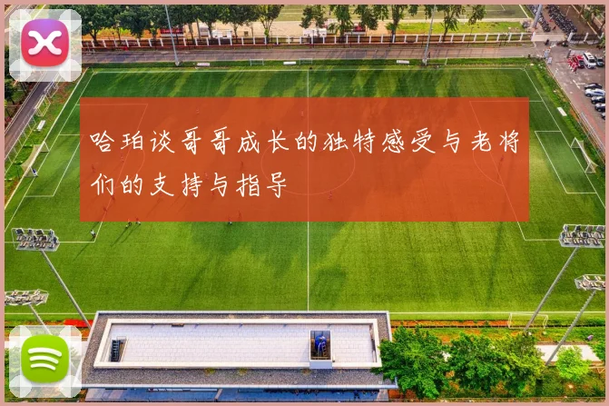 哈珀谈哥哥成长的独特感受与老将们的支持与指导